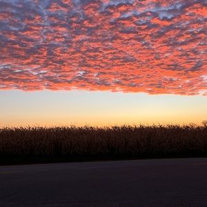 Meet your Posher, Katy